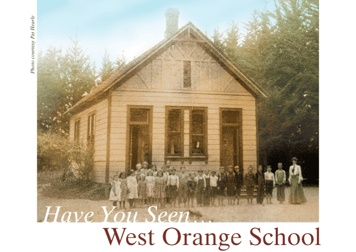 Have You Seen West Orange School Julie Bawden Davis