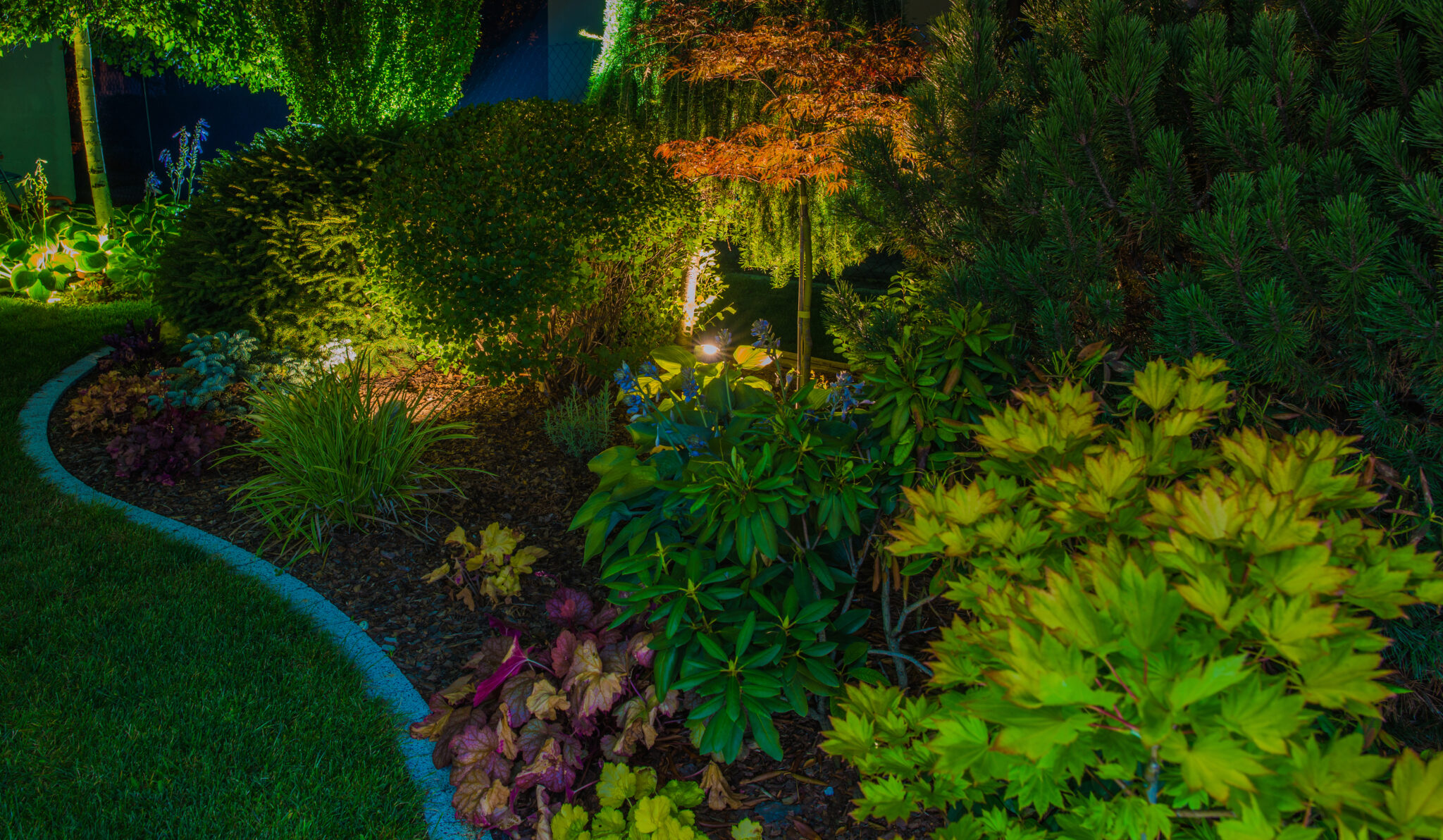 Shady garden bed